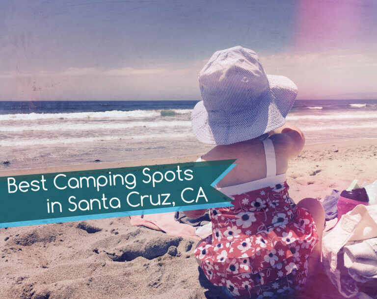 Best Campgrounds in Santa Cruz From Beach to Mountains Santa Cruz Beach